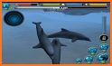 Dolphin Simulator related image