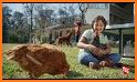 Tractor Supply Company Events related image