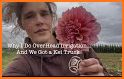 Flower Grower related image