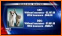 Pets Best Pet Health Insurance related image