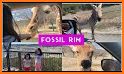 Fossil Rim related image