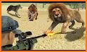 Jungle Hunter - Animal Hunting Shooting Games related image