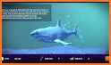 Dino shark hunter underwater game 2021 related image