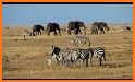 Masai Mara related image