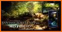 Fantasy Forest 3D Pro lwp related image