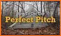 Perfect Pitch Pathway related image