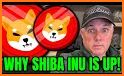Shiba Inu coin related image