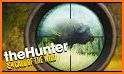 Sniper Deer Wild Hunting Game 2021 : Clash Hunt related image