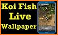 KOI Fish Live Wallpaper : New fish Wallpaper 2020 related image