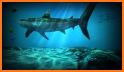 Shark aquarium live wallpaper related image
