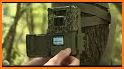 Bushnell Trail Cameras related image
