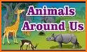 Animals Around Us related image