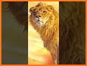 Wild Lion Live Wallpaper related image