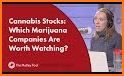 National Institute for Cannabis Investors related image