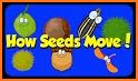 The Seed Movement related image