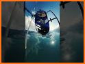 Heli Run related image