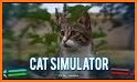 Laser for cat simulator related image