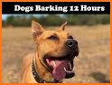 Barking Dog Sounds related image