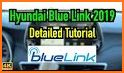 BlueLink Acces related image