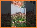 ReS48 - Cute Autumn Cats related image