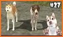 Akita Dog Simulator related image