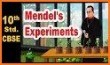 Mendel's Quest related image