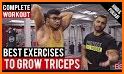 Triceps Workout Exercises related image