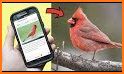 Birds Identifier App by Photo, Bird ID Camera 2020 related image