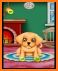 Wash and Treat Pets Kids Game related image