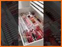 Lipsticks Collect related image