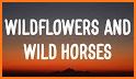 Wild flowers related image