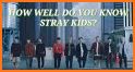 Stray Kids Quiz related image