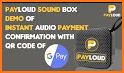 Payloud | All QR Code, Bank, BHIM UPI Voice Alert related image