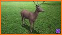 AR Real Animals - Augmented Reality Wildlife App related image