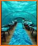 Undersea Restaurant Dash related image