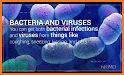 Bacteria: Types, Infections related image