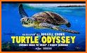 Oscar's Turtle Reef Premium related image