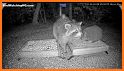 Critter Behaviour Recorder related image