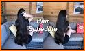 Hair Schedule related image