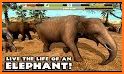 Elephant Life - Animal Simulator related image