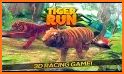 Tiger Adventure Run related image