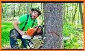 Tree Cut related image