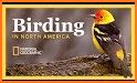 Peterson Birds North America related image