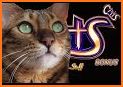 CATS Casino – Real Hit Slot Machine! related image