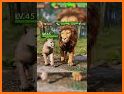 Lion Land Adventure Games related image