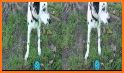 Dog Park 3D related image