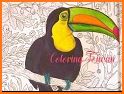Toucan coloring book related image