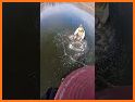 Ice Fishing Insider related image