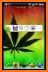 Galaxy Rasta Weed Keyboard Theme for Android related image