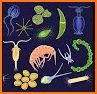 Microbe Notes | Microbiology and Biology Notes related image
